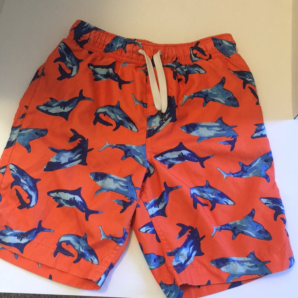 Lands End bathing suit: boys